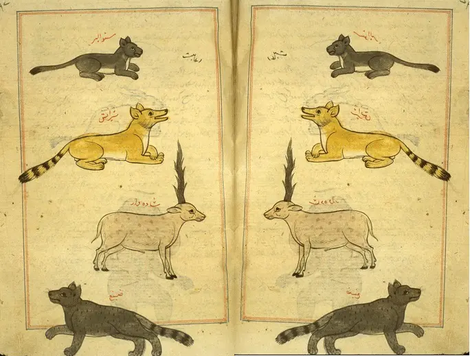 11 types-of-Jinn-in-Islam