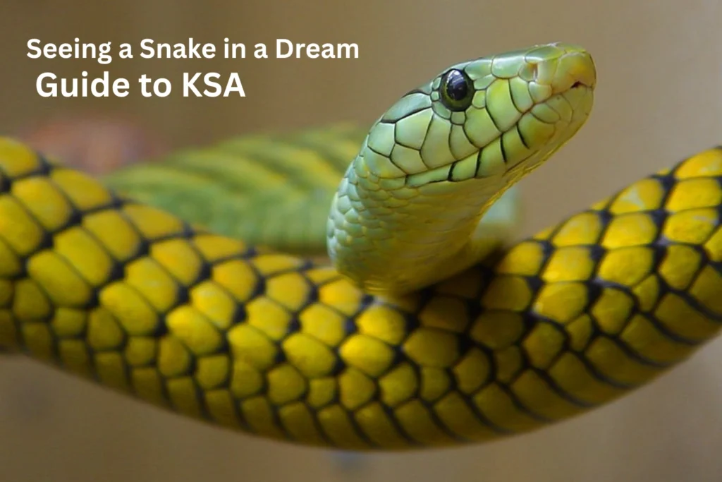 Seeing a Snake in a Dream