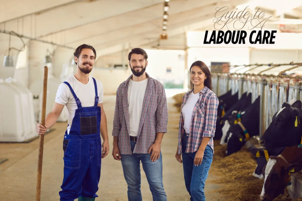 Labour Care