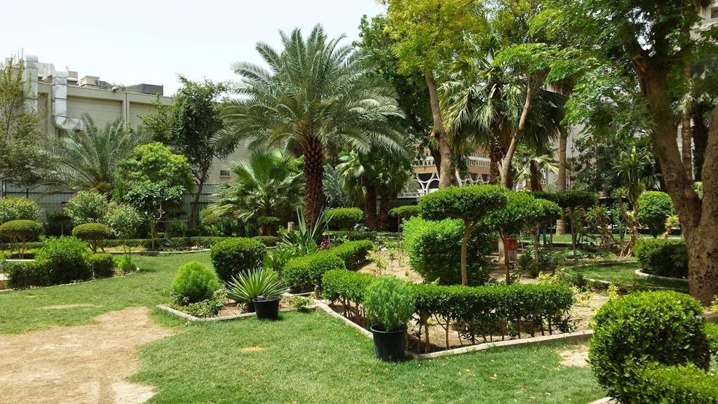 Saqeefa Bani Saida