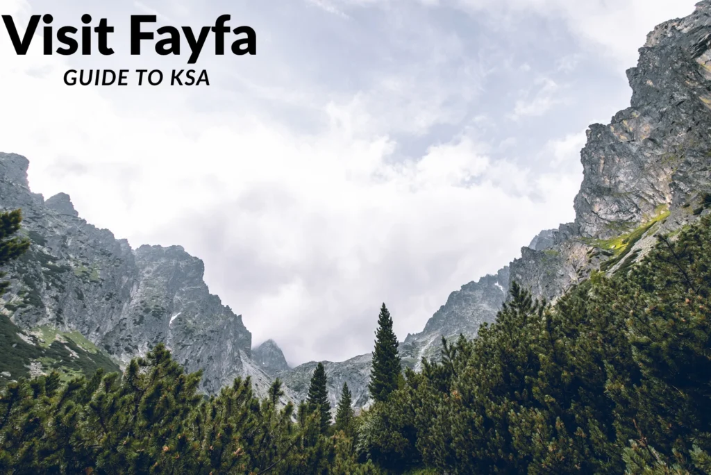 Visit Fayfa