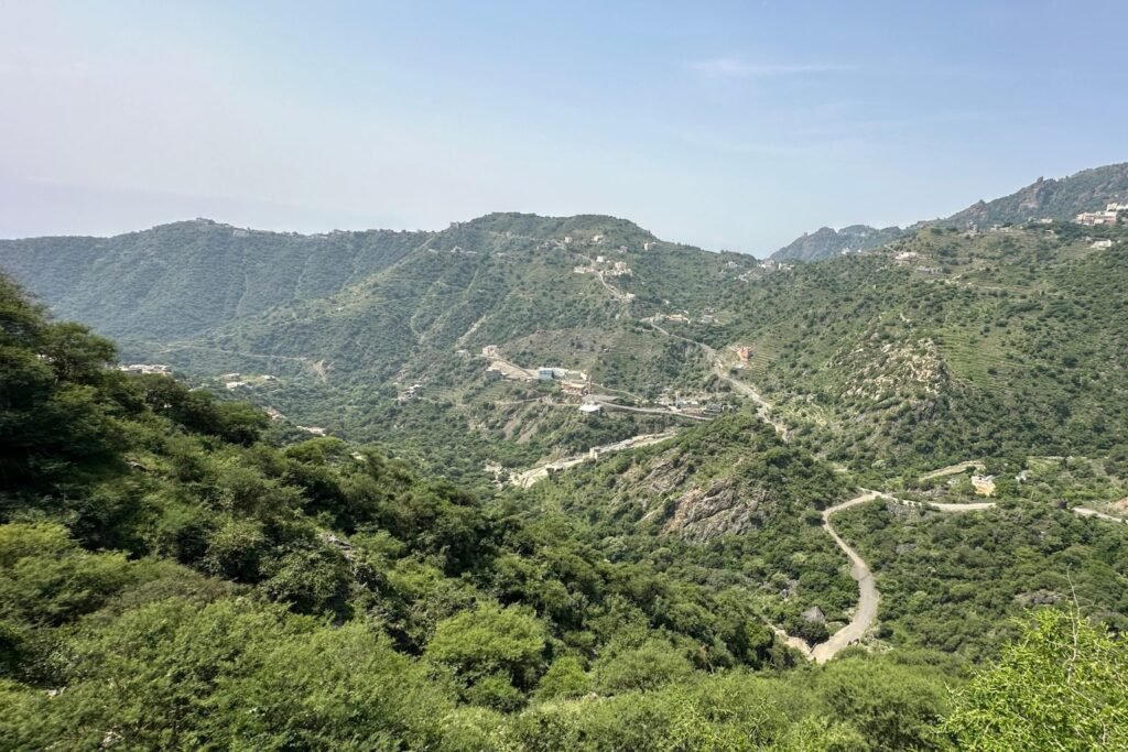 Al-Khoshin Forests