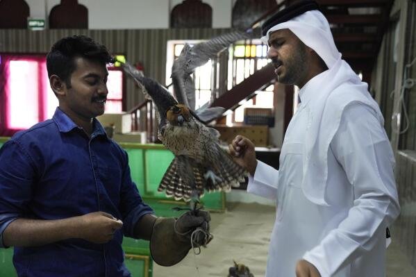 Falconry and Wildlife Center