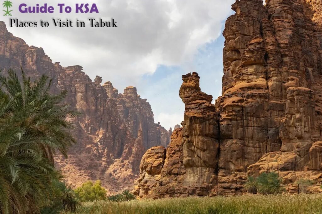 Places to Visit in Tabuk