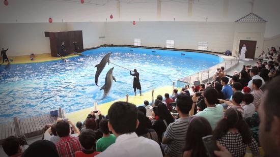 Fakieh Aquarium & Dolphin Show