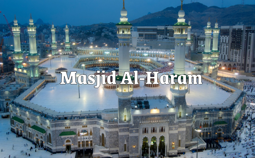 Organization and Crowd Management